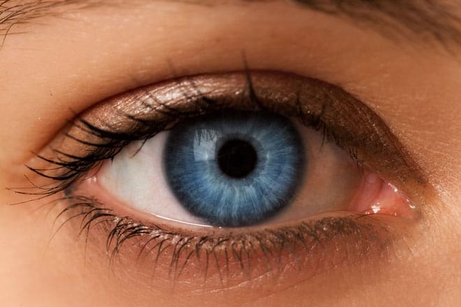 Is Everyone With Blue Eyes Related? | Vision Art Eye Care